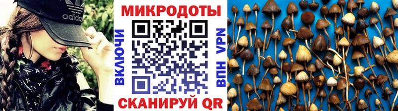 Псилоцибиновые грибы Magic Shrooms  Агидель 